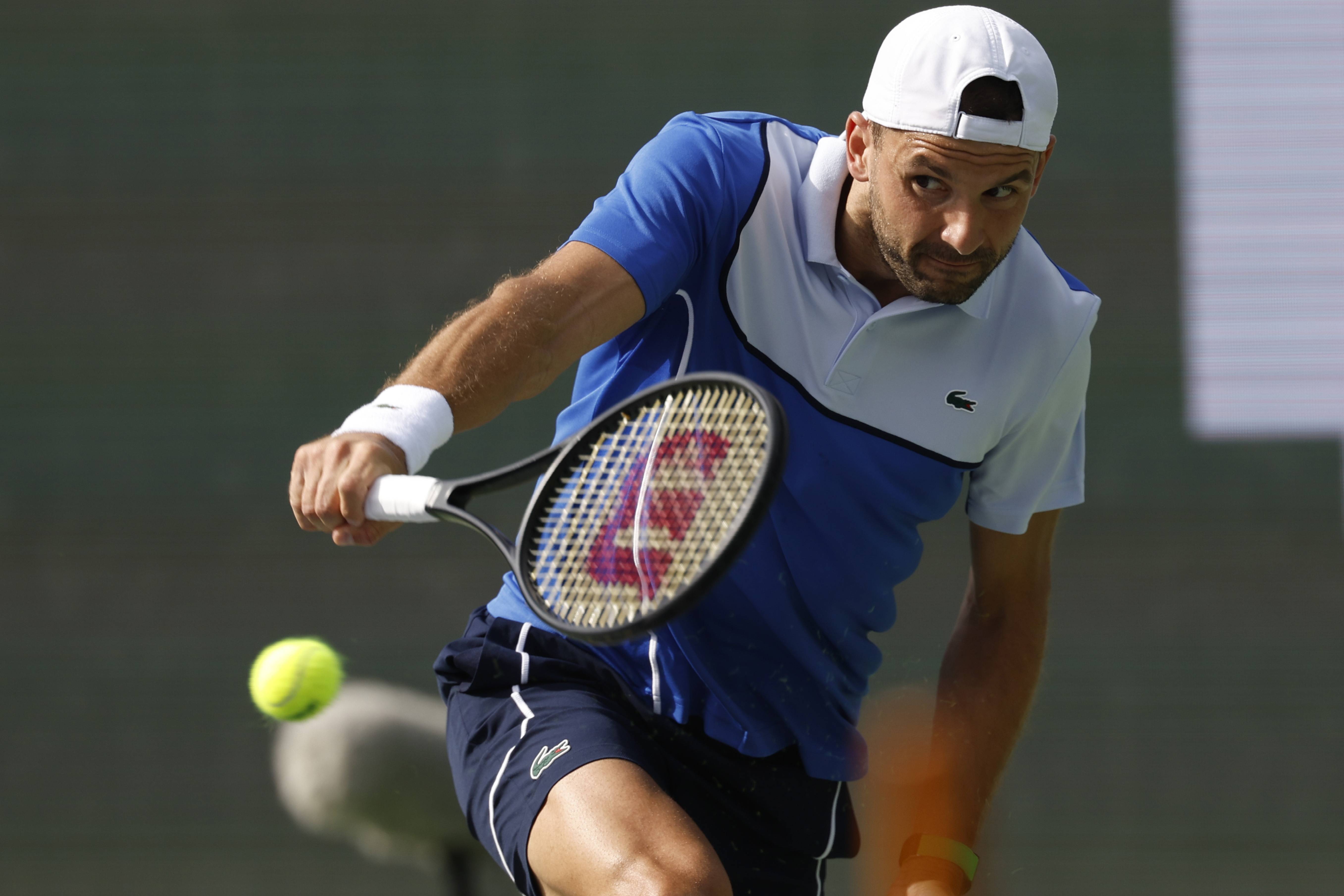 西班牙网球队险胜美国网球队，梅德韦杰夫惊艳世界的简单介绍